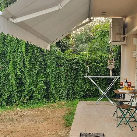 Phivos & Garden